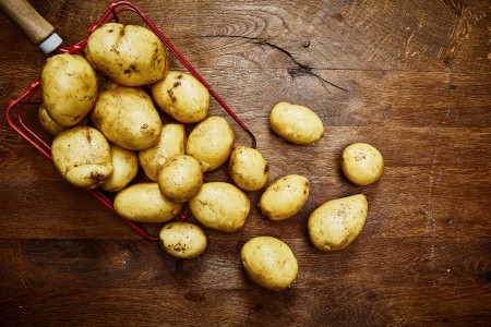 Kartoffeln Gala (mehlig)