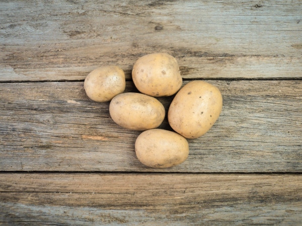 Bio Kartoffeln vorwiegend festkochend