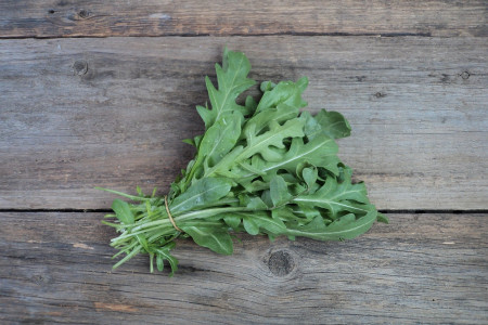 Bio Rucola