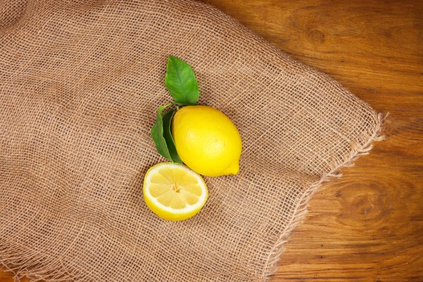 Zitronen Blatt (unbehandelt)