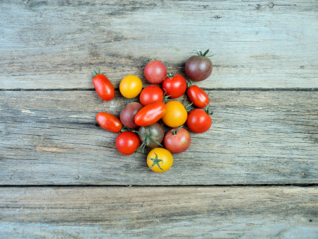 Bio Tomatenvielfalt