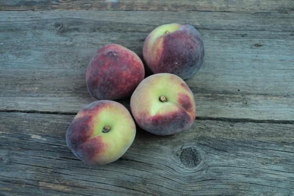 Bio Pfirsiche