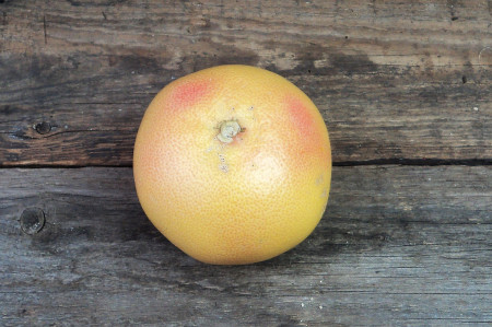 Bio Grapefruit
