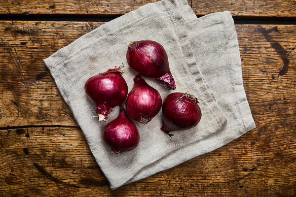 Bio Zwiebeln rot