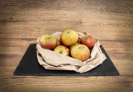 Apfel Holsteiner Cox