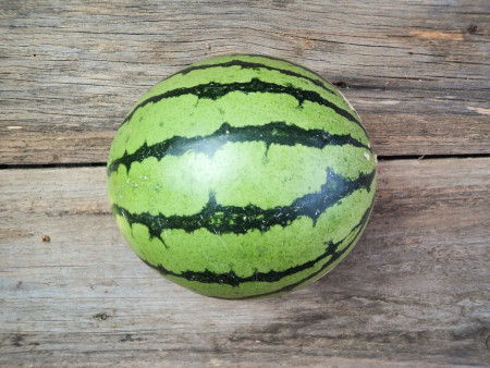 Bio Mini-Wassermelone