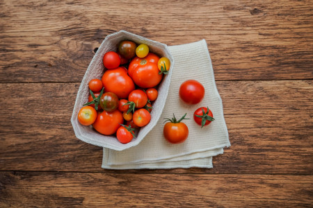 Tomaten bunte Schale