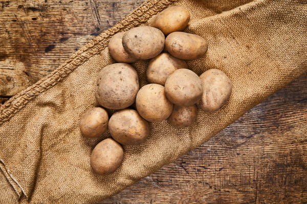 Kartoffeln Belana (Bio)