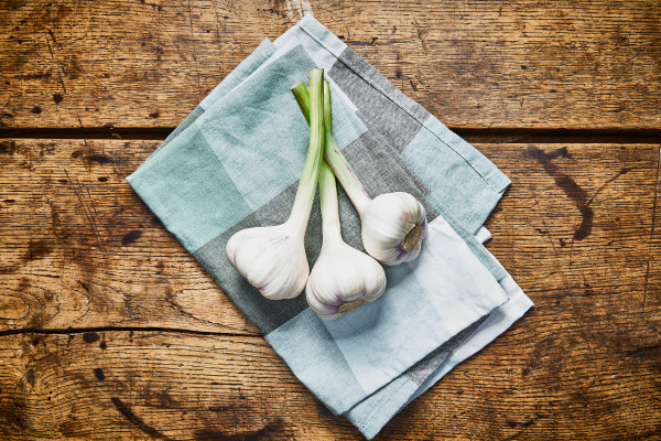 Frischer Knoblauch