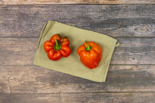 Bio Paprika rot