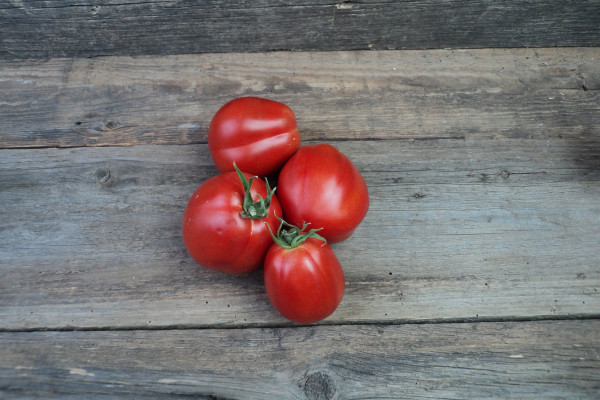 Bio Fleischtomate Ochsenherz