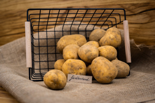 Bio Kartoffeln festkochend