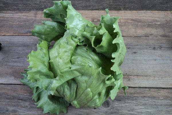 Bio Eissalat
