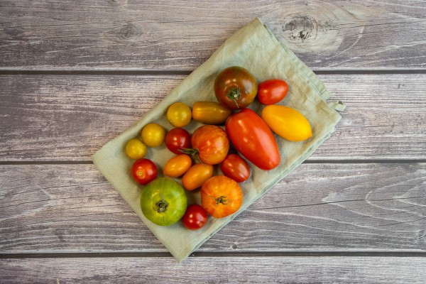 BIO Historischer Tomaten Mix