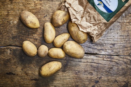 Kartoffeln, festkochend (Bio)